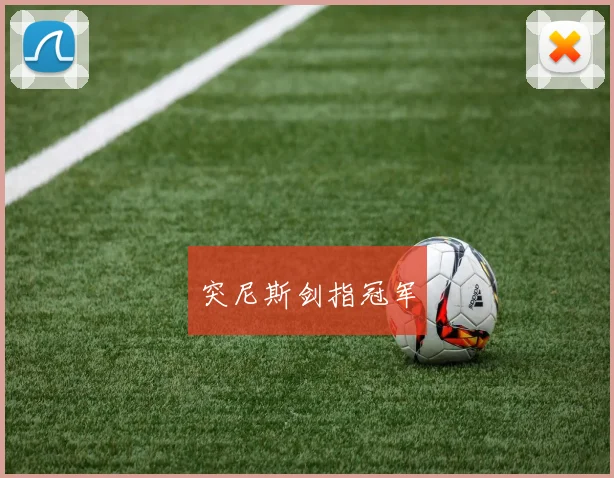 突尼斯剑指冠军