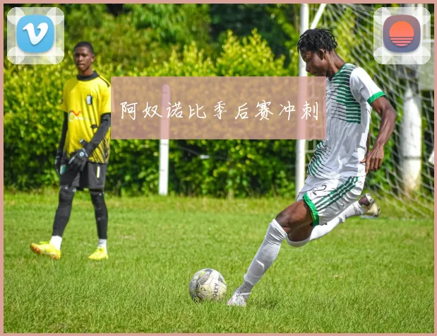 阿奴诺比季后赛冲刺
