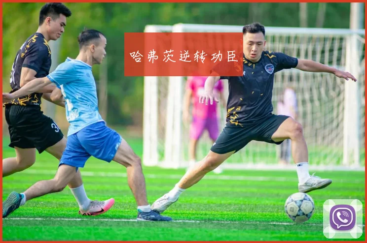 哈弗茨逆转功臣