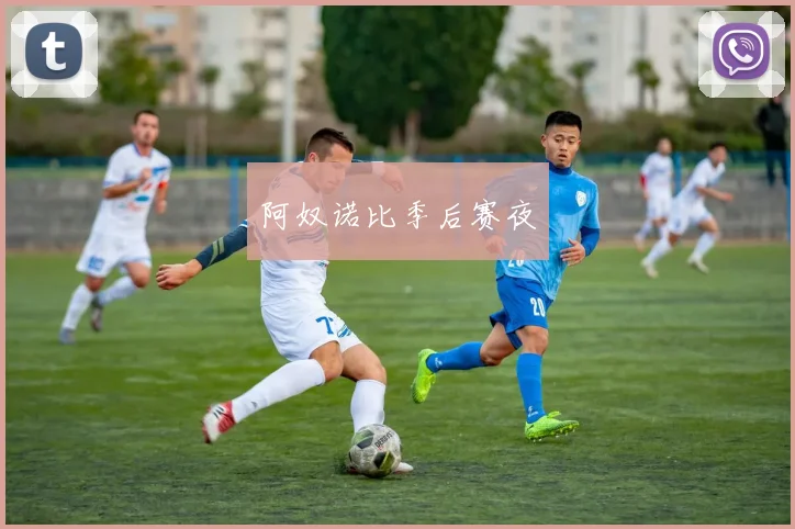 阿奴诺比季后赛夜