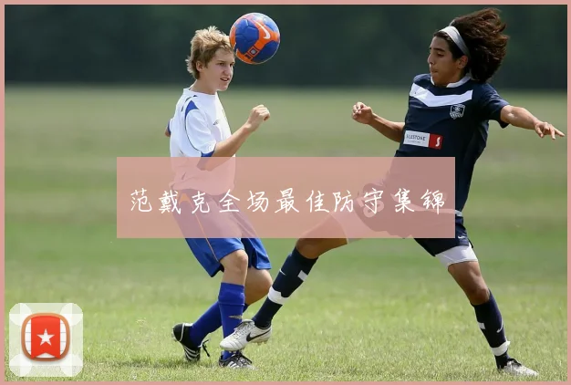 范戴克全场最佳防守集锦