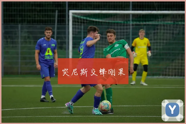 突尼斯交锋刚果