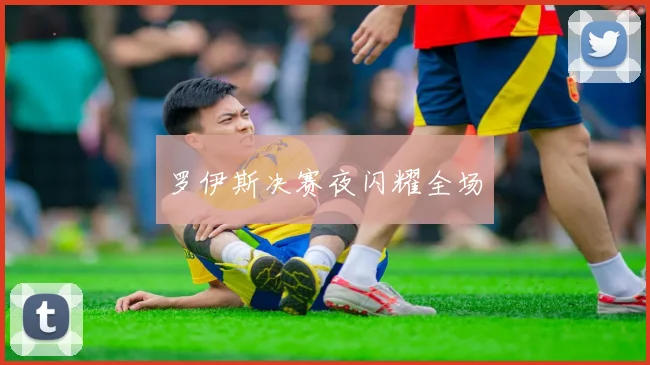 罗伊斯决赛夜闪耀全场