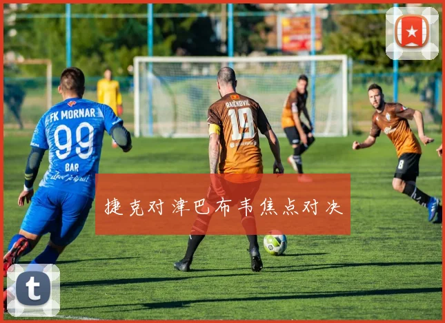 捷克对津巴布韦焦点对决