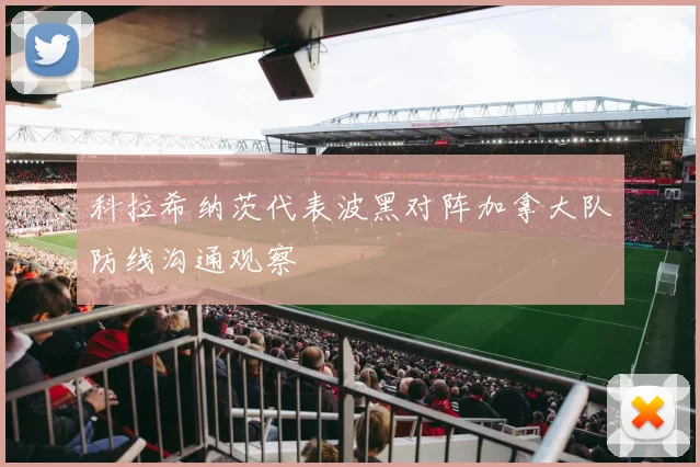 科拉希纳茨代表波黑对阵加拿大队防线沟通观察