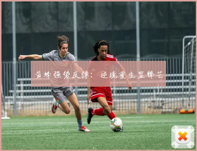黄蜂强势反弹：逆境重生显锋芒