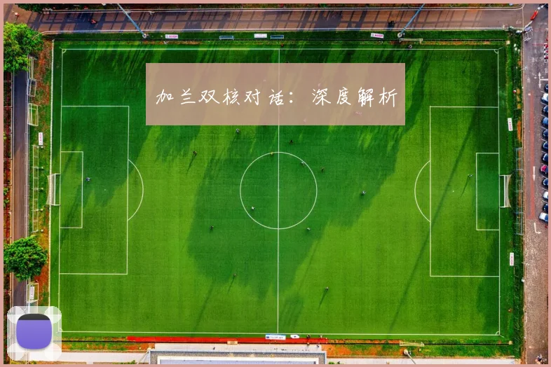 加兰双核对话：深度解析