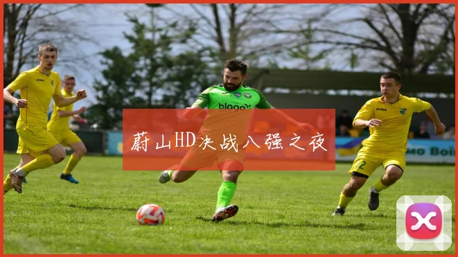 蔚山HD决战八强之夜