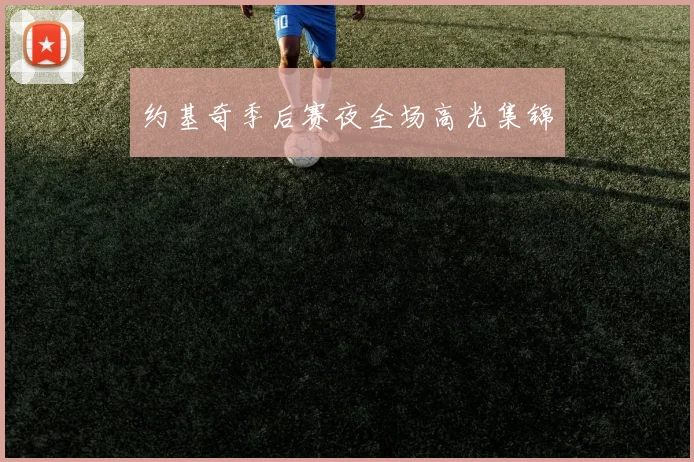 约基奇季后赛夜全场高光集锦