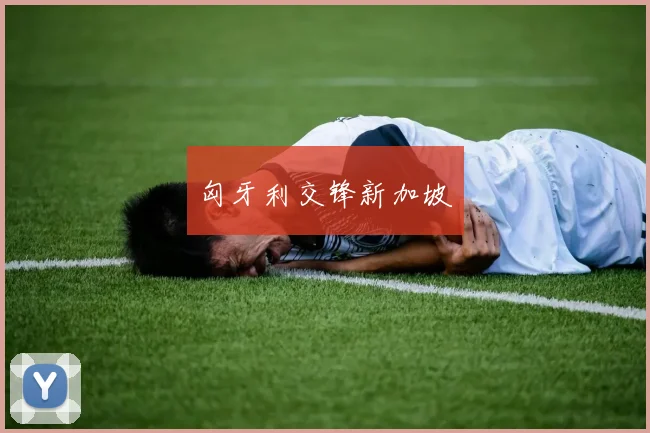 匈牙利交锋新加坡