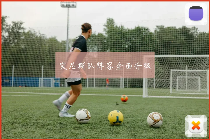 突尼斯队阵容全面升级