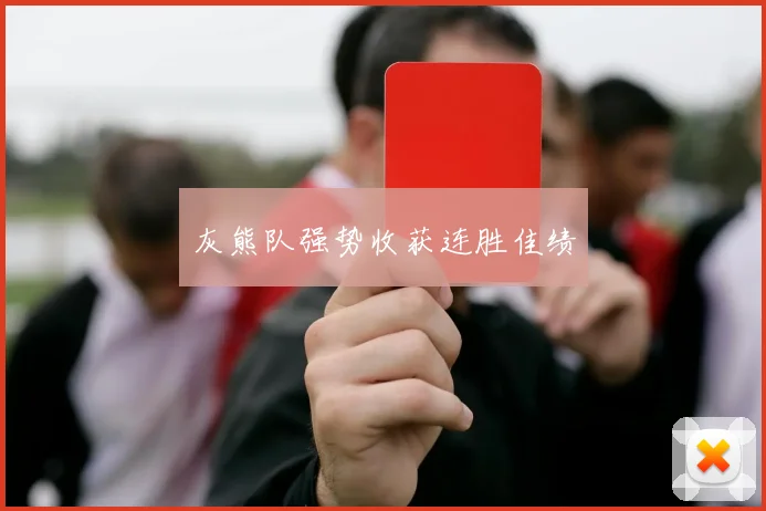 灰熊队强势收获连胜佳绩