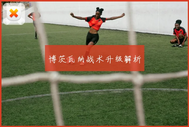 博茨瓦纳战术升级解析