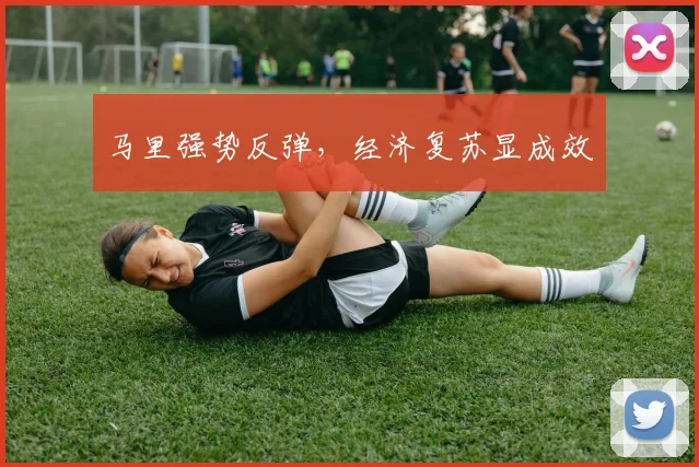 马里强势反弹，经济复苏显成效