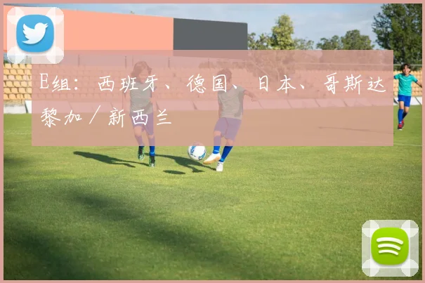 E组：西班牙、德国、日本、哥斯达黎加／新西兰