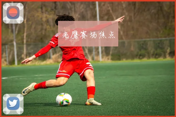 老鹰赛场焦点