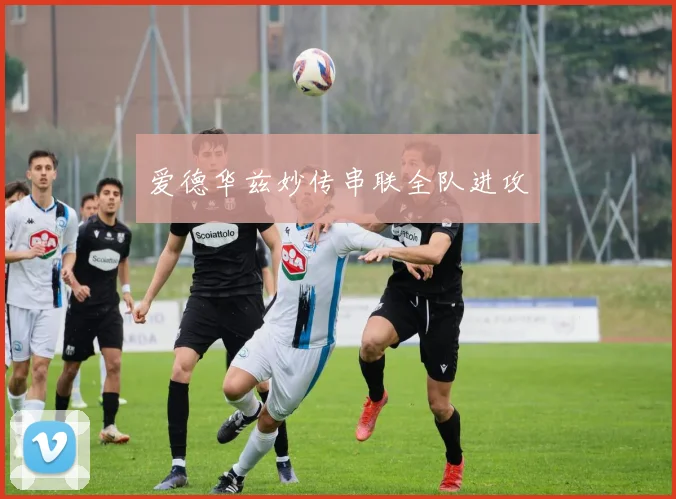 爱德华兹妙传串联全队进攻