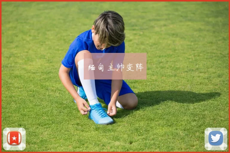 缅甸主帅变阵