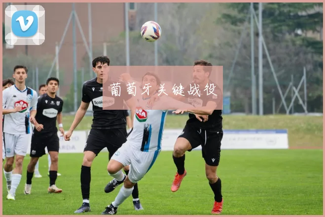 葡萄牙关键战役