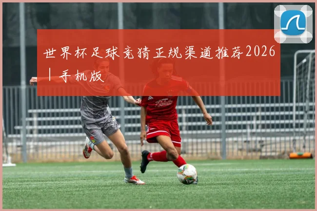 世界杯足球竞猜正规渠道推荐2026｜手机版