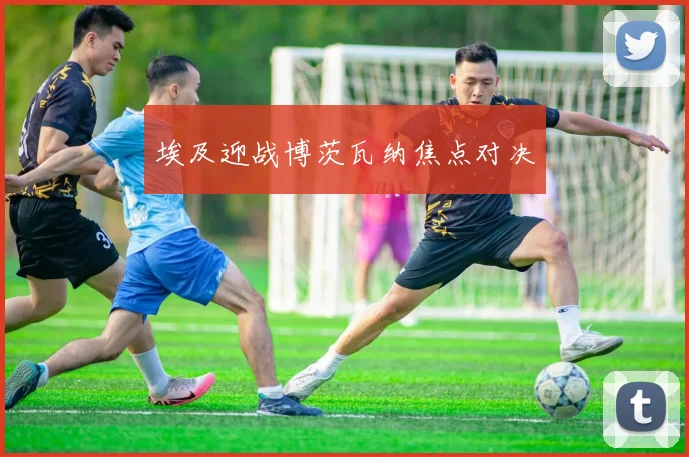埃及迎战博茨瓦纳焦点对决