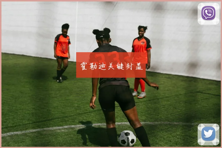 霍勒迪关键封盖
