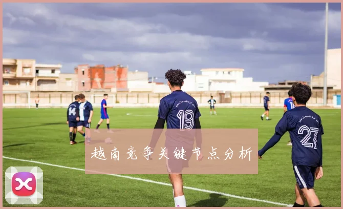 越南竞争关键节点分析