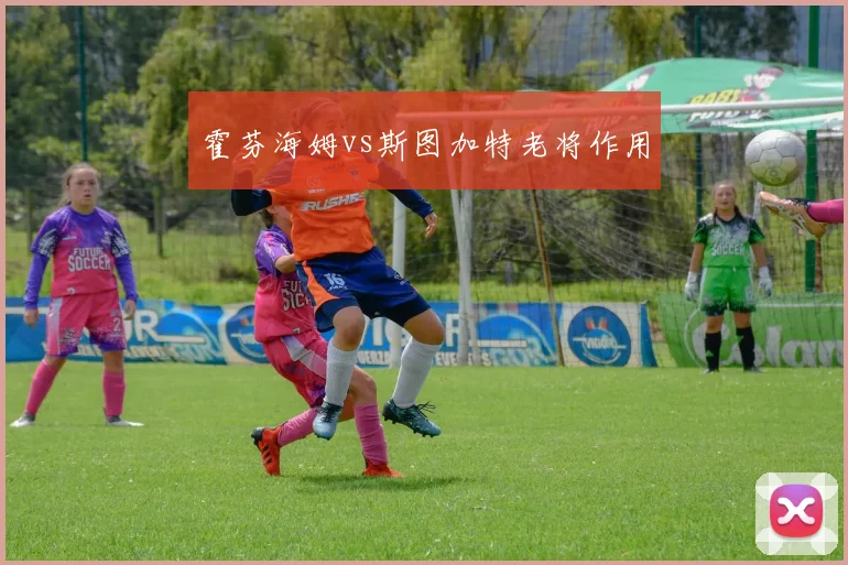 霍芬海姆vs斯图加特老将作用