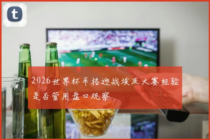 2026世界杯辛格迎战埃及大赛经验是否管用盘口观察