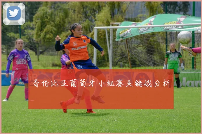 哥伦比亚葡萄牙小组赛关键战分析