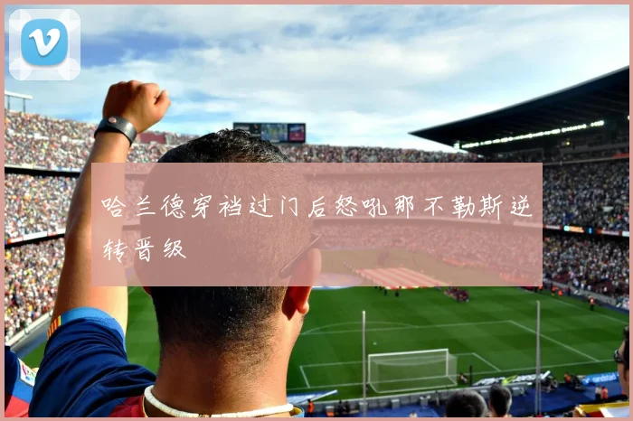 哈兰德穿裆过门后怒吼那不勒斯逆转晋级