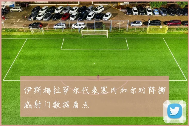 伊斯梅拉萨尔代表塞内加尔对阵挪威射门数据看点