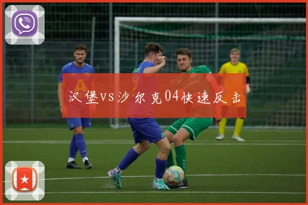 汉堡vs沙尔克04快速反击
