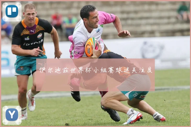 伊尔迪兹世界杯小组赛球迷关注度